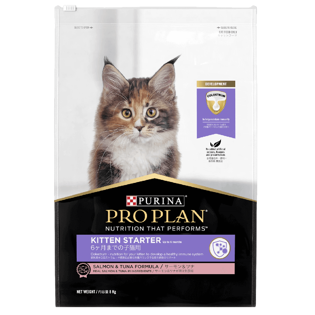 PRO PLAN Kitten Starter Salmon Tuna Dry Cat Food Purina